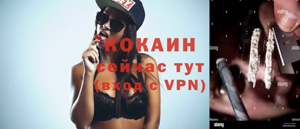 тгк Няндома