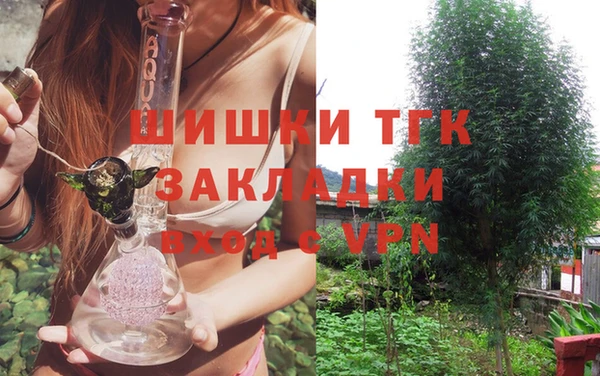 тгк Няндома