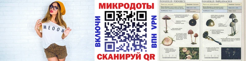Псилоцибиновые грибы Psilocybe  Миньяр 